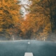 Fall and winter driving Concord, CA